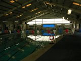 Dad's Club indoor pool 1006Voss Road Houston 77055 (13).JPG